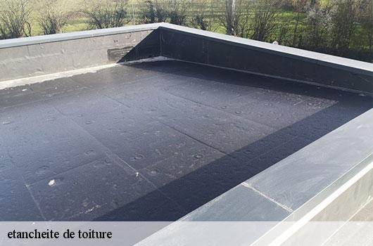etancheite de toiture