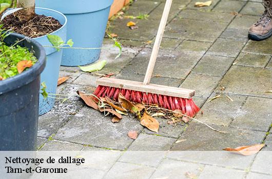Nettoyage de dallage  