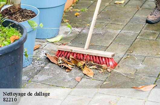 Nettoyage de dallage  82210