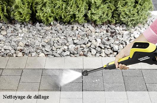 Nettoyage de dallage